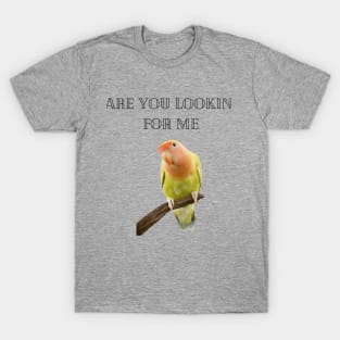 Are you lookin for me T-Shirt